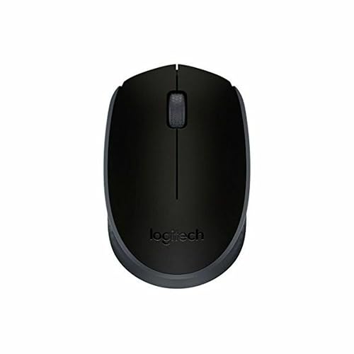 Logitech M171 Ratón inalámbrico para PC
